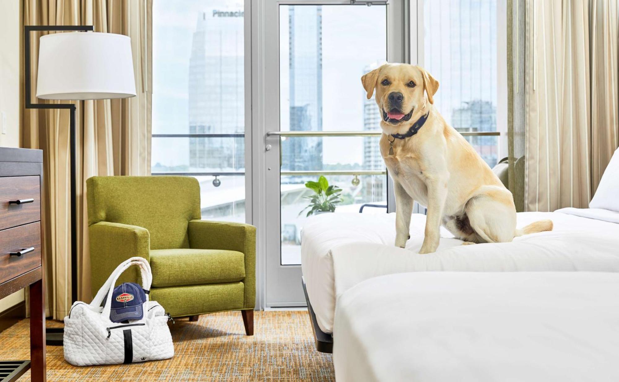 Embassy Suites By Hilton Nashville Downtown ภายนอก รูปภาพ